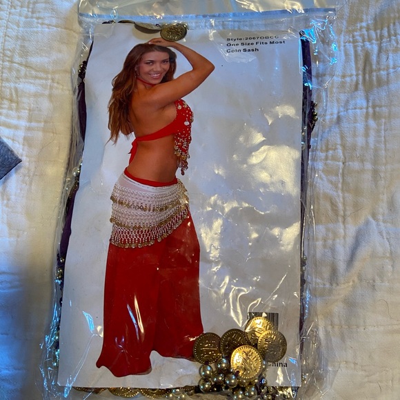 One size coin sash - Picture 1 of 2